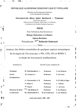 Bekhechi-Chahrazed-Doc.Pdf