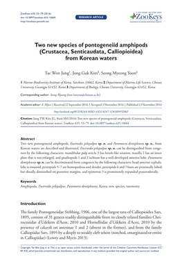 ﻿Two New Species of Pontogeneiid Amphipods (Crustacea, Senticaudata, Calliopioidea) from Korean Waters