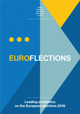 Leading Academics on the European Elections 2019 1 DEMICOM-Report Nr 40