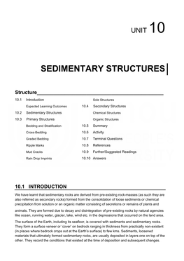 Sedimentary Structures