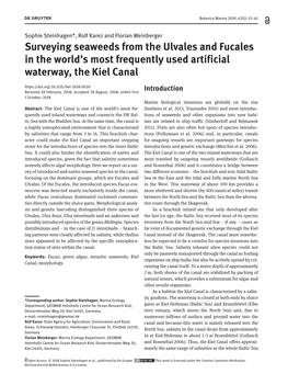 Surveying Seaweeds from the Ulvales and Fucales in the World's Most