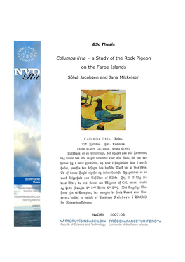 Columba Livia – a Study of the Rock Pigeon on the Faroe Islands Columba Livia – Kanningar Av Føroysku Bládúgvuni