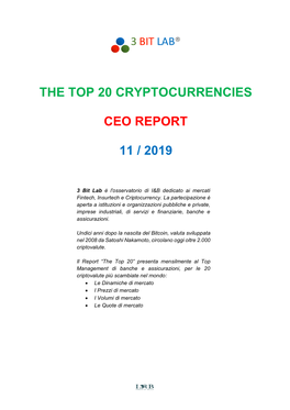 The Top 20 Cryptocurrencies Report