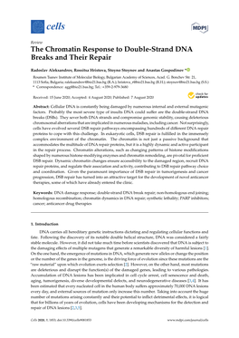 The Chromatin Response to Double-Strand DNA Breaks and Their Repair