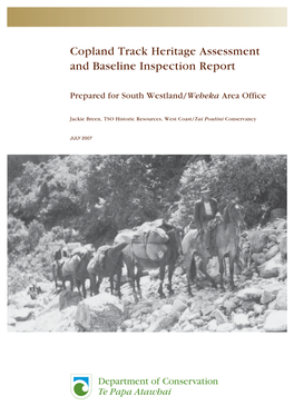 Copland Track Heritage Assessment and Baseline Inspection Report