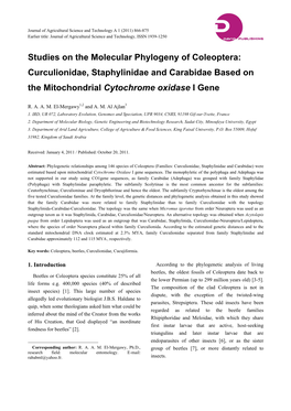 Studies on the Molecular Phylogeny of Coleoptera: Curculionidae, Staphylinidae and Carabidae Based on the Mitochondrial Cytochrome Oxidase I Gene