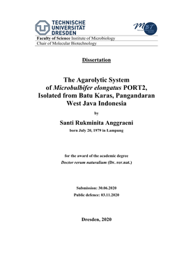 The Agarolytic System of Microbulbifer Elongatus PORT2, Isolated from Batu Karas, Pangandaran West Java Indonesia