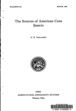The Sources of American Corn Insects