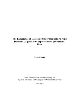 The Experience of Gay Male Undergraduate Nursing Students: a Qualitative Exploration of Professional Lives