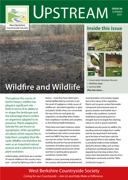 Wildfire and Wildlife Plus Lots More
