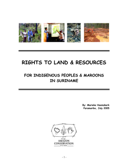 Rights to Land & Resources