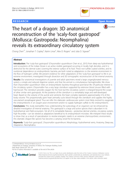 Scaly-Foot Gastropod’ (Mollusca: Gastropoda: Neomphalina) Reveals Its Extraordinary Circulatory System Chong Chen1*, Jonathan T