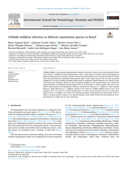 Crithidia Mellificae Infection in Different Mammalian Species in Brazil