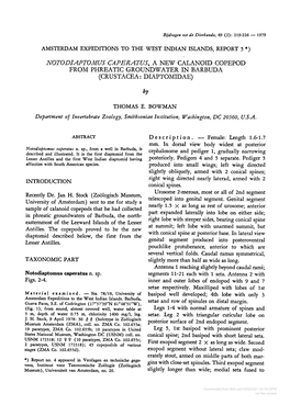 Notodiaptomus Caperatus, a New Calanoid Copepod from Phreatic