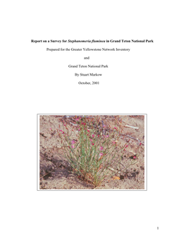 Report on a Survey for Stephanomeria Fluminea in Grand Teton National Park