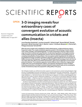 3-D Imaging Reveals Four Extraordinary Cases Of