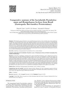 Comparative Anatomy of the Fasciolariids Pustulatirus Ogum and Hemipolygona Beckyae from Brazil (Gastropoda: Buccinoidea: Peristerniinae)