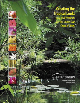 Creating the Tropical Look: Low-Care Tropicals for the Upper Gulf Coast of Texas