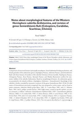 Notes About Morphological Features of the Western Hemisphere Subtribe Ardistomina, and Revision of Genus Semiardistomis Kult