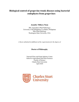 Jmniem Final Thesis