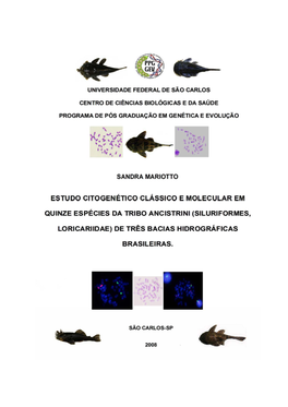 Siluriformes, Loricariidae) De Três Bacias Hidrográficas Brasileiras