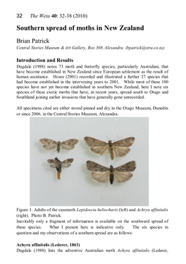 Southern Spread of Moths in New Zealand