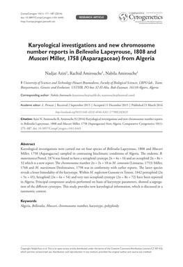 Karyological Investigations and New Chromosome Number Reports in Bellevalia Lapeyrouse, 1808 and Muscari Miller, 1758 (Asparagaceae) from Algeria