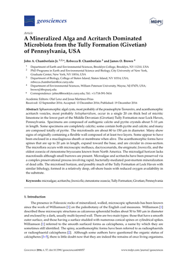 A Mineralized Alga and Acritarch Dominated Microbiota from the Tully Formation (Givetian) of Pennsylvania, USA