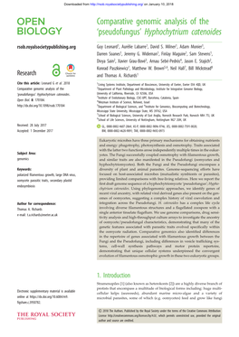 Comparative Genomic Analysis of the 'Pseudofungus' Hyphochytrium