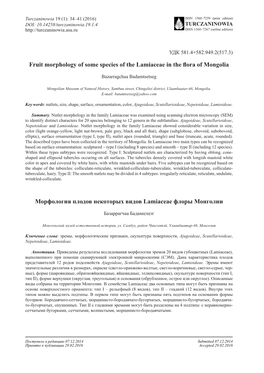 Fruit Morphology of Some Species of the Lamiaceae in the Flora of Mongolia