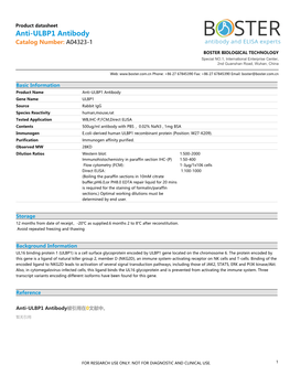 Datasheet A04323-1 Anti-ULBP1 Antibody