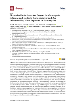 Phaeoviral Infections Are Present in Macrocystis, Ecklonia and Undaria (Laminariales) and Are Inﬂuenced by Wave Exposure in Ectocarpales