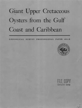 Giant Upper Cretaceous Oysters from the Gulf Coast and Caribbean