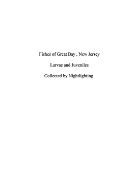 Fishes of Great Bay, New Jersey Larvae and Juveniles Collected By