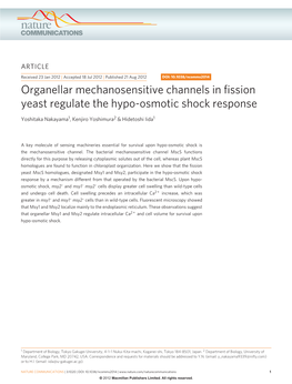 Organellar Mechanosensitive Channels in Fission Yeast Regulate the Hypo-Osmotic Shock Response