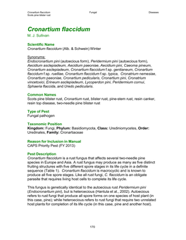 Cronartium Flaccidum Fungal Diseases Scots Pine Blister Rust