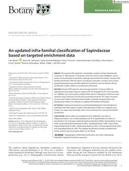 An Updated Infra-Familial Classification of Sapindaceae Based on Targeted