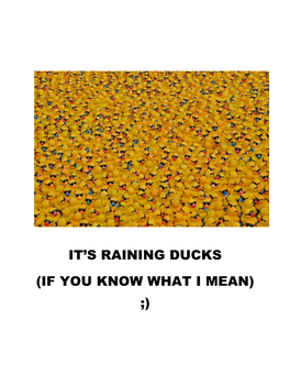 It's Raining Ducks