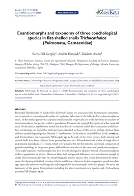 Enantiomorphs and Taxonomy of Three Conchological Species in Flat-Shelled Snails Trichocathaica (Pulmonata, Camaenidae)