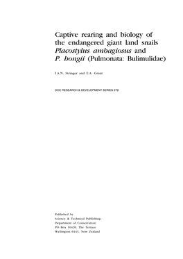 Captive Rearing and Biology of the Endangered Giant Land Snails Placostylus Ambagiosus and P