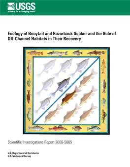 Ecology of Bonytail and Razorback Sucker and the Role of Off-Channel Habitats in Their Recovery