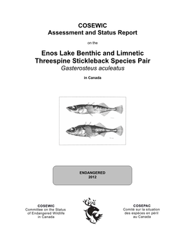 Enos Lake Benthic and Limnetic Threespine Stickleback Species Pair Gasterosteus Aculeatus