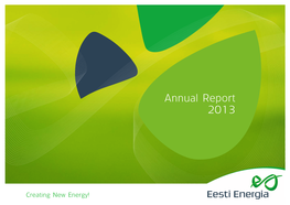 Annual Report 2013