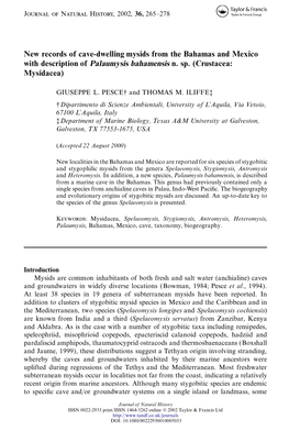 New Records of Cave-Dwelling Mysids from the Bahamas and Mexico With