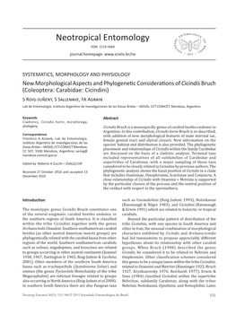 New Morphological Aspects and Phylogenetic Considerations Of