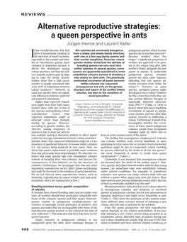 A Queen Perspective in Ants Jürgen Heinze and Laurent Keller