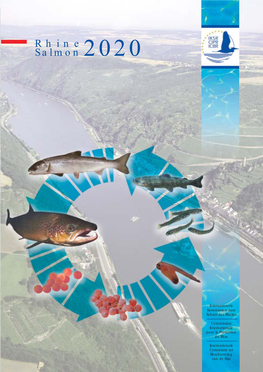Rhine Salmon 2020