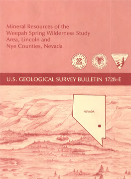 Mineral Resources of the Weepah Spring Wilderness Study Area, Lincoln and Nye Counties, Nevada