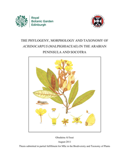 The Phylogeny, Morphology and Taxonomy of Acridocarpus (Malpighiaceae) in the Arabian Peninsula and Socotra