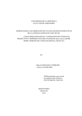 Aportes Para La Elaboración De Una Guía De Buenas Prácticas De La Cosecha Extractiva Del Butiá